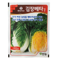 김장베타 배추씨앗 300립 가을김장 베타카로틴 청방 저장성우수 22년햇종자 항암성분 흥농