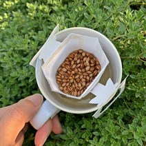 약방집손녀딸 한잔용 국산 볶은 보리차티백 곡차1호, 510g, 3개, 3개