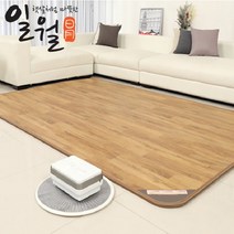 일월 나노륨 플러스 온돌마루 온수 카페트매트, 대형