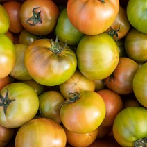대저농협인증 정품 대저토마토 2.5kg S과 / M과 / L과, 대저토마토 M과 2.5kg