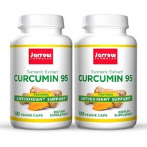 미국직구 항황제 추출물 2팩 총 240인분까지의 Curcumin 95 500mg 120개 야채 캡, 수량, 상세참조