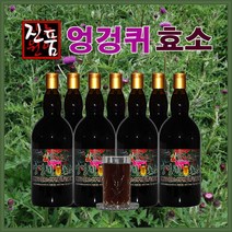 장녹원 엉겅퀴효소 1100ml, 8병