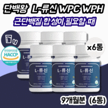 류신 L-로이신 L-류신 90정 45일분 X 6통 류신영양제 HACCP인증 BCAA 40대50대류신 고단백프로틴 근육강화제 근육보충제 단백질보충제 루신 류신알약 WPH WPC, 6개
