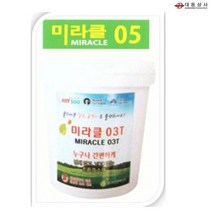 O대동상사 미라클05 기능성페인트 2 L 벽지대용마감재 벽지전 후 벽지대용페인트 상가인테리어 새집증후군 국내