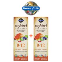 (1+1) 가든오브라이프 뿌리는 비타민 B12 스프레이 메탈 코랄라민 라즈베리 58ml 2팩