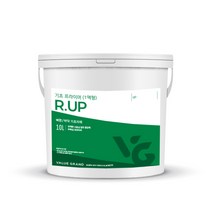 바닥 벽 접착력증대 노출콘크리트 R.UP기초프라이머 10kg