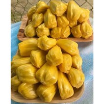 ( 재입고 ) 베트남 냉동 잭프루트 팩/ MIT VI DONG LANH VIET NAM 500g 2개
