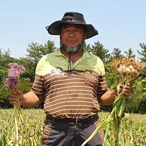 국내산 제철 햇 코끼리마늘 대왕 마늘 주아 식용 종자용, 코끼리마늘 500g 주아