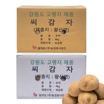 강원도 씨감자 수미 두백 종자 씨앗 4kg 10kg 20kg 분 감자, 수미감자