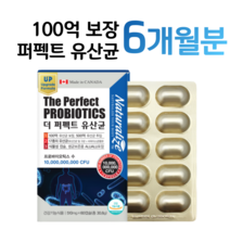 프로바이오틱스 100억 알약 유산균 유해균 억제 유산균 증식 프리바이오틱스 장 건강 도움 포스트바이오틱스 하루 1알 알약 임산부 온가족 유산균 다니스코 5세대 4세대, 6개월분, 510mg x 60캡슐 (하루 1캡슐)