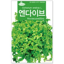 베이비 엔다이브씨앗 2000립 베이비채소씨앗 (C0200)