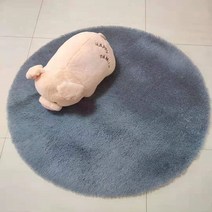 원형 카페트 극세사 대형 카펫 러그 거실 면 방바닥 매트 패드