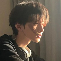 가발남 단발 한국판 멋쟁이 왕홍 패션 생머리 미분쇄개 일본계 자연모방 올인원 세트, 다크브라운+헤어망