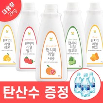 펀치미 음료베이스 대용량 2kg 과일 에이드 원액 카페 재료 즙 농축액 스무디 청포도 자몽 딸기 레몬 자몽 망고 복숭아 업소용, 레몬 베이스 (2kg)