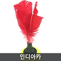 인디아카배구형제기노인체육맨손깃털뉴스포츠
