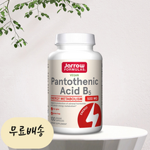 오라마켓 Jarrow 자로우 판토텐산 비건 500mg 위드 칼슘 100식물성캡슐 재로우, 1개, 100개