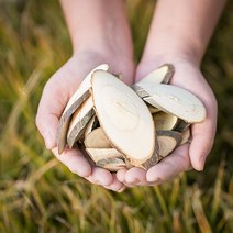 국산 헛개나무(편) 200g 슬라이스 차 한방재료 한약재 약초, 12YQ_국산헛개나무(편)200g