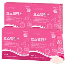 본트비 효소 밸런스 석류맛, 60g, 4박스