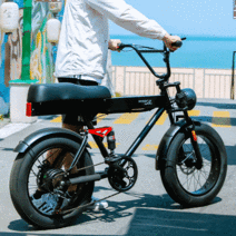 파사르마트 고성능 전기자전거, 48V20A리튬(80km주행거리)