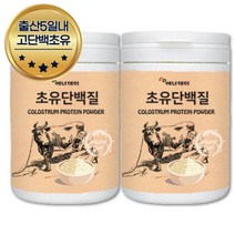 노인 맛있는단백질쉐이크 초유100% 프로틴 1+1 1개월 MBP 락토페린 엽산 칼슘 농축 식물성단백질 프로틴 식사대용 추출 영양제 보충 산양유 홈쇼핑 유단백추출물