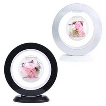 자기부상 지구본 무드등 자기부상열차 키트 화분새로운 자기 부상 불멸의 꽃 장식 크리에이티브 램프 플로팅 테이블 led 야간 조명 홈 장식 선물 책상 램프, 백색과 백색, 협력사, 영국