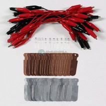 과일전지(단체용)(10인 세트) RSA, 999