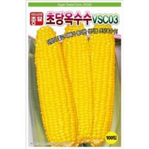 AR 초당옥수수 단맛이 아주 좋은 씨앗