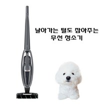 일렉트로룩스 Well Q8 스틱 청소기, 블랙