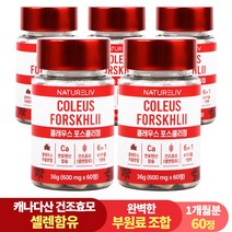 건조효모 콜레우스 포스콜리 결정판 60정 셀레늄 판토텐산 칼슘, 5개, 5개