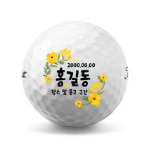 18 봄 디자인 골프공 로고 마킹 이니셜 커스텀 인쇄 제작 (12구), 브리지스톤 투어 B XS 12구 화이트, A