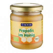 호야 프로폴리스 꿀 250g