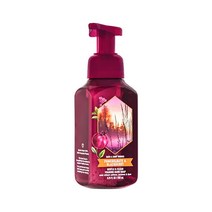 BBW 배스앤바디웍스 포밍 핸드솝 파미그래니트 & 블랙베리 259ml, 1개