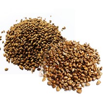 볶은보리600g+볶은옥수수600g (지퍼백)
