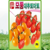 모둠 대추토마토 씨앗 대추토마토 씨 종자 20립, 단품