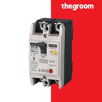서울산전 산업용 누전 차단기 SKE-102 SBE-102Ca 5kA 2P 75A 100A, 서울산전 SBE-102Ca 75A 2P_cp