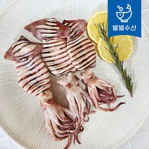 육즙가득 자숙 통 오징어 중 사이즈 500g 8봉, 자숙 통 오징어 500g