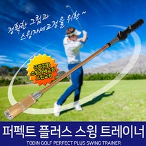 퍼펙트 플러스 스윙 트레이너