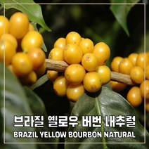(커피생두) 2 브라질 옐로우 버번 내추럴 500g