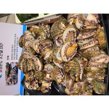 완도태양활전복 25-40미 1kg/손질칼증정, 1개