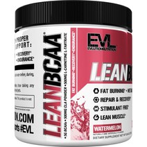 EVLUTIONNUTRITION 린 BCAA 수박 맛, 237g, 1개