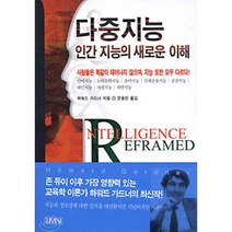 다중지능 인간지능의 새로운 이해, 김영사, 하워드 가드너 저/문용린 역