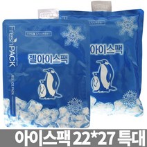젤 아이스팩 22x27 특대 얼음팩 냉동팩 쿨팩 냉찜질팩 보냉팩 쿨러백팩 얼음주머니팩 보냉제, 쿠팡마니또야 본상품선택