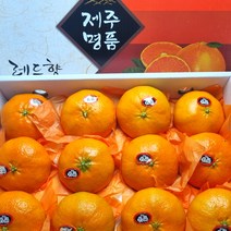 [선물포장] 제주도 명품 한라봉 천혜향 레드향 선물용 3kg (7과~14과), 명품 레드향 3kg 1박스