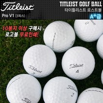 타이틀리스트 로스트볼 판매 Pro V1[3pc/10알/특A+급], 골프공, Pro V1_3피스
