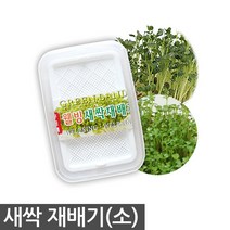 새싹재배기 대형 - 새싹 재배기 세트 새싹씨앗 21종 새싹 보리 브로콜리 케일 청경채 보리씨앗 보리새싹씨앗 새싹보리 보리씨 새싹씨앗보리, 22_웰빙새싹재배기(소)