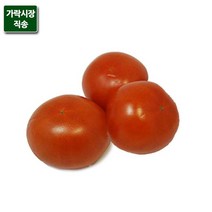 팸쿡 가락시장직송 완숙토마토 5kg (1번과) 공유하기 페이스북 트위터 닫기