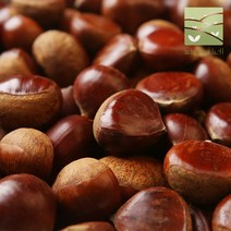 달달한 2022년 햇 공주 알밤 중2kg 대2kg 특2kg, 공주 알밤(대) 2kg, 1개