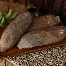 싱싱한 국내산 햇 연근, 1개, 연근10kg