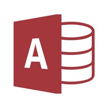 MS Access LTSC 2021 CSP 기업용 라이선스 영구사용, 단품
