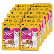 비타크래프트 포에시 델리소스 85g X 12개 대용량 고양이 주식파우치, 델리소스 치킨 85g X 12개